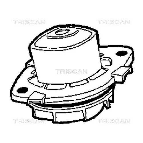 TRISCAN Wasserpumpe, Motork&uuml;hlung 8600 15013