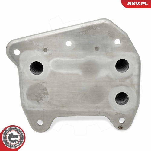 ESEN SKV &Ouml;lk&uuml;hler, Motor&ouml;l 31SKV326