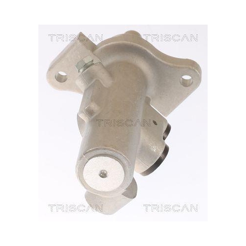 TRISCAN Hauptbremszylinder 8130 29176