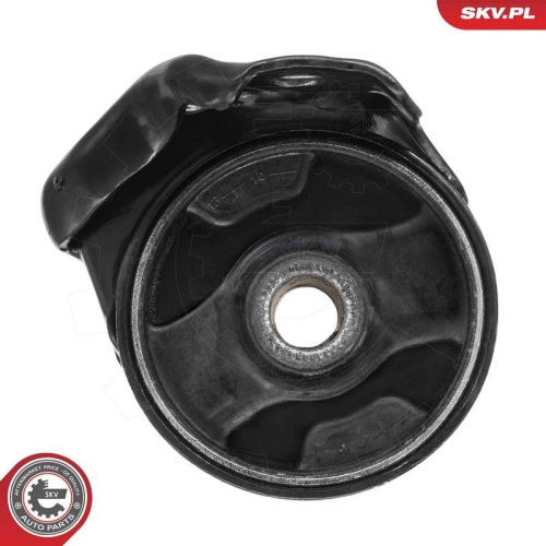 ESEN SKV Lagerung, Motor 75SKV232