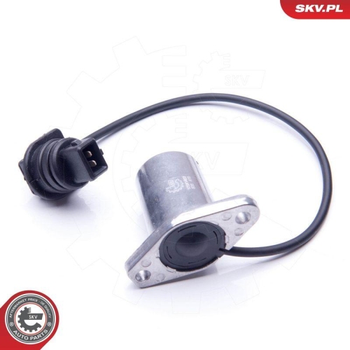 ESEN SKV Sensor, Motor&ouml;lstand 17SKV407
