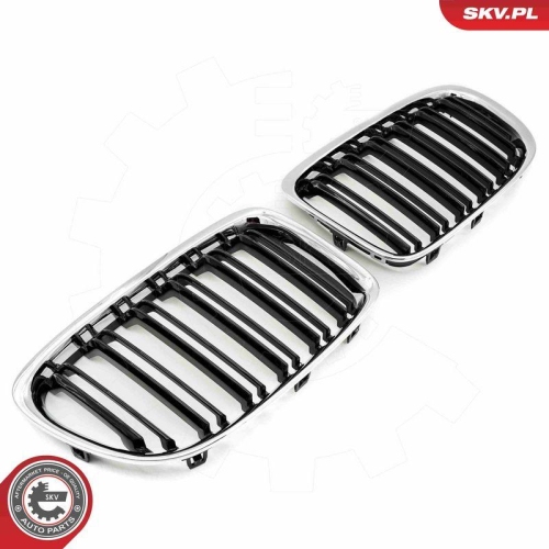 ESEN SKV Kühlergitter