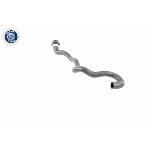 VAICO Kühlerschlauch Q+, Erstausrüsterqualität V20-2892