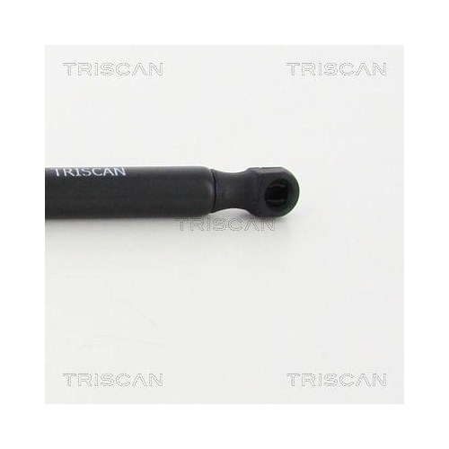 TRISCAN Gasfeder, Koffer-/Laderaum 8710 24250