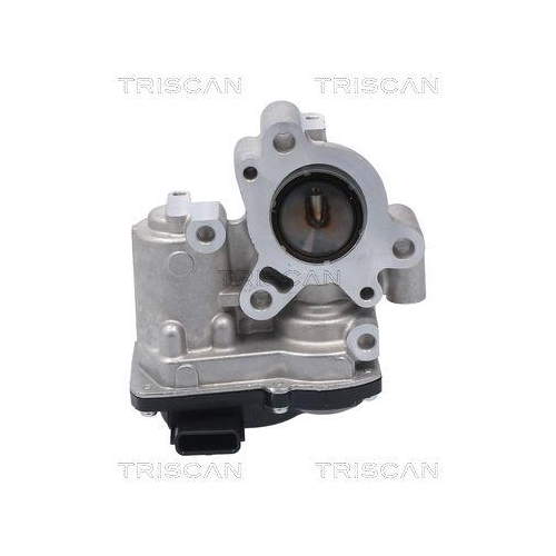 TRISCAN AGR-Ventil 8813 10056