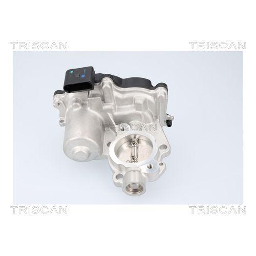 TRISCAN AGR-Ventil 8813 29116