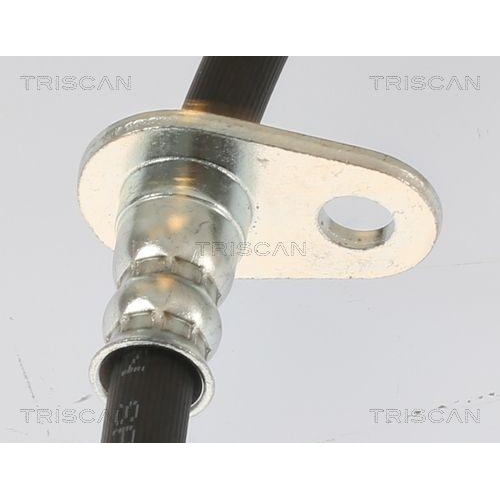 TRISCAN Bremsschlauch 8150 40181