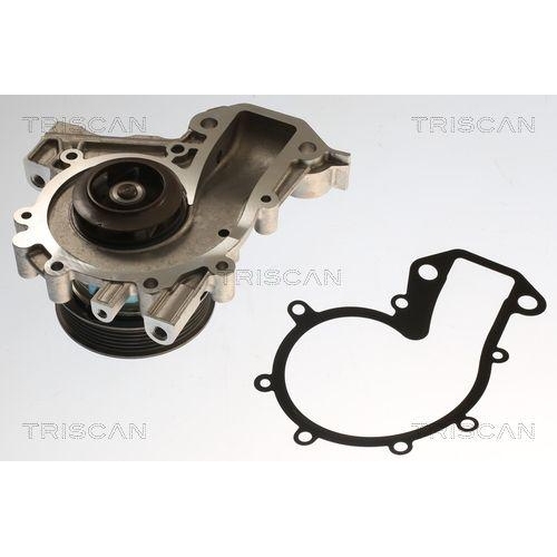 TRISCAN Wasserpumpe, Motork&uuml;hlung 8600 24020V