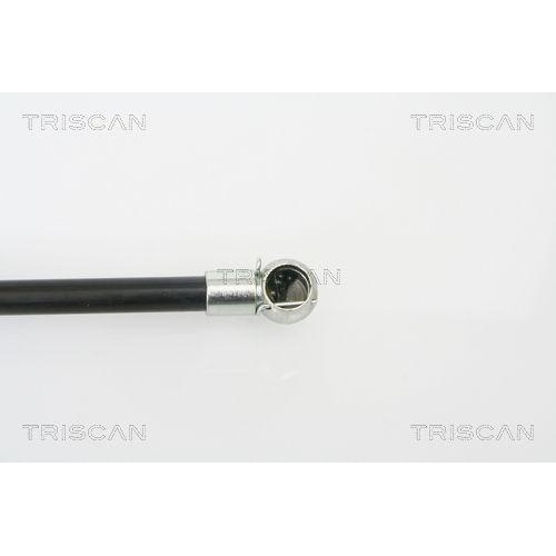 TRISCAN Gasfeder, Koffer-/Laderaum 8710 25228
