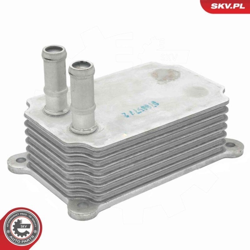 ESEN SKV &Ouml;lk&uuml;hler, Motor&ouml;l