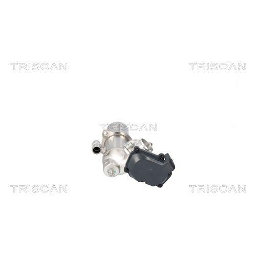 TRISCAN AGR-Ventil 8813 29117
