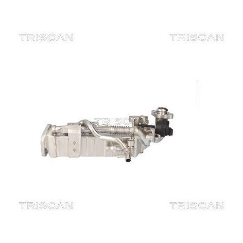 TRISCAN K&uuml;hler, Abgasr&uuml;ckf&uuml;hrung 8813 11024