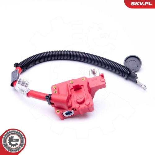 ESEN SKV Batterieadapter 96SKV304