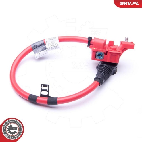 ESEN SKV Batterieadapter 96SKV306