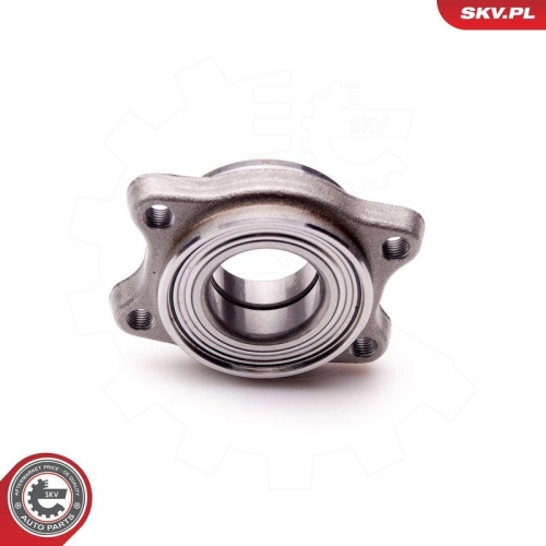 ESEN SKV Radlagersatz 29SKV098