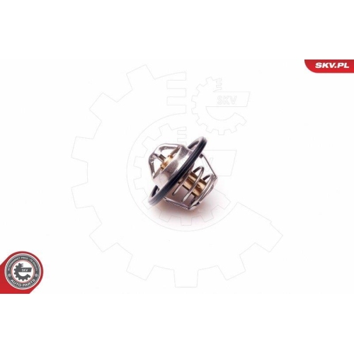 ESEN SKV Thermostat, K&uuml;hlmittel