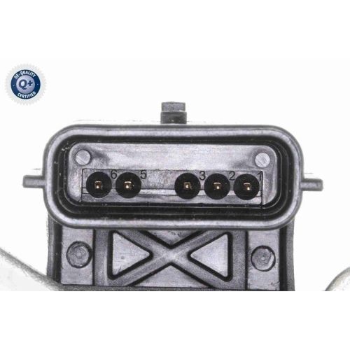 VEMO Drosselklappenstutzen Q+, Erstausrüsterqualität V46-81-0024