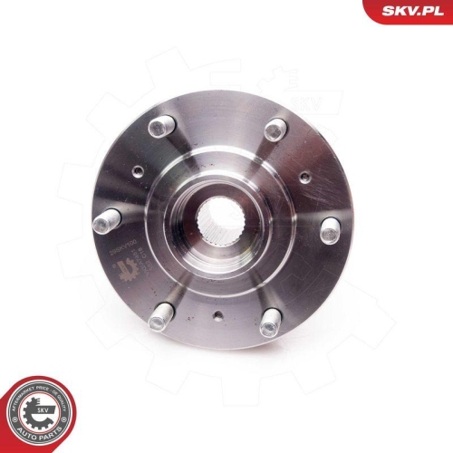 ESEN SKV Radlagersatz 29SKV100