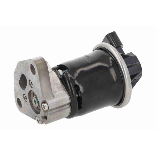 ACKOJA AGR-Ventil Original ACKOJA Qualität