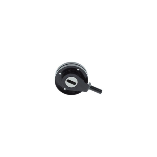 BOSCH Riemenspanner, Keilrippenriemen 1 987 600 432