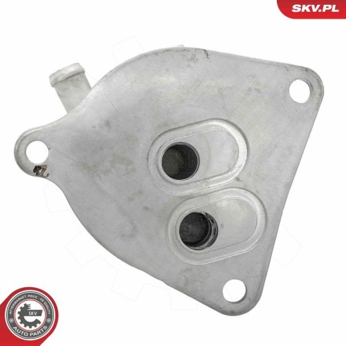 ESEN SKV &Ouml;lk&uuml;hler, Motor&ouml;l 31SKV374