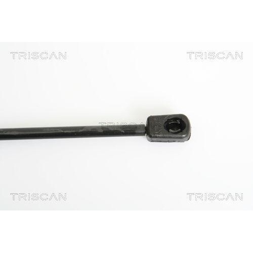 TRISCAN Gasfeder, Koffer-/Laderaum 8710 29245