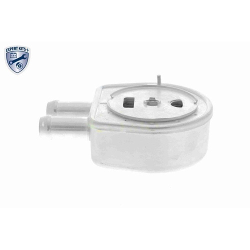 VEMO Ölkühler, Motoröl EXPERT KITS + V25-60-0047