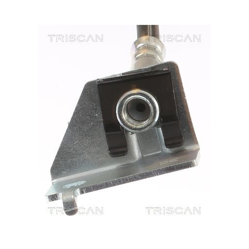 TRISCAN Bremsschlauch 8150 432018