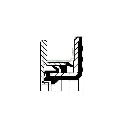 CORTECO Wellendichtring, Kurbelwelle 49197061