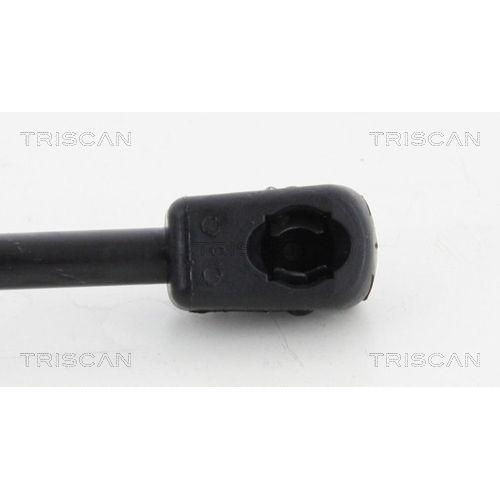 TRISCAN Gasfeder, Koffer-/Laderaum 8710 42241