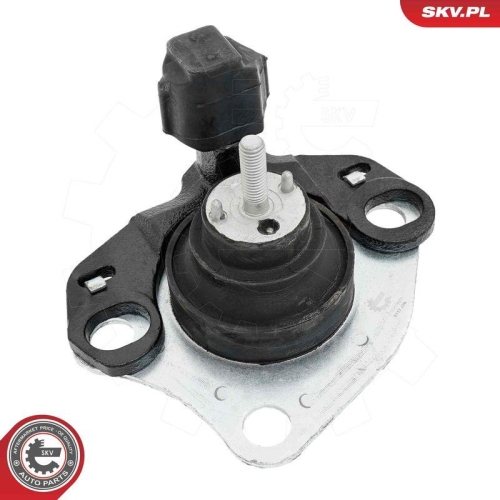 ESEN SKV Lagerung, Motor 75SKV019