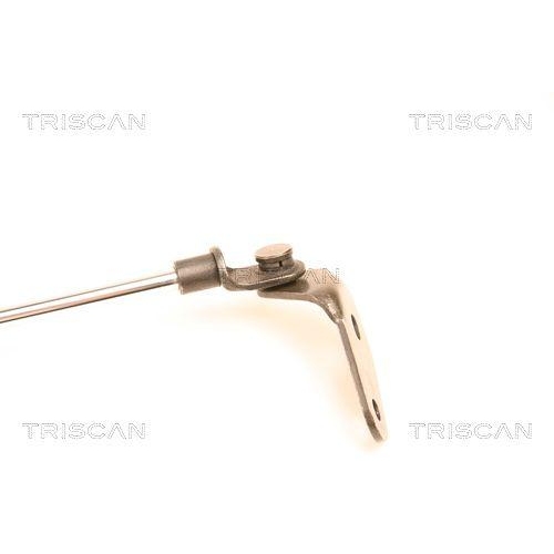 TRISCAN Gasfeder, Koffer-/Laderaum 8710 50229