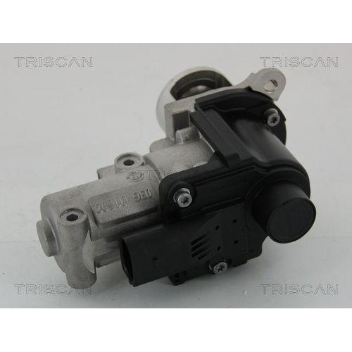 TRISCAN AGR-Ventil 8813 29002