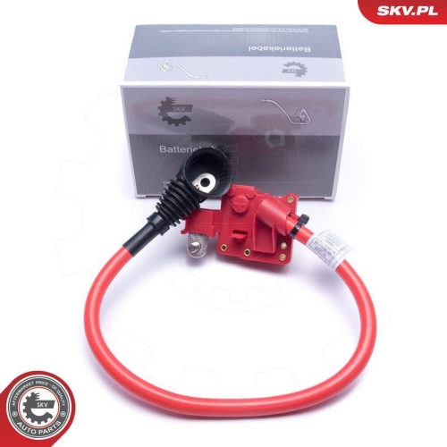 ESEN SKV Batterieadapter 96SKV311