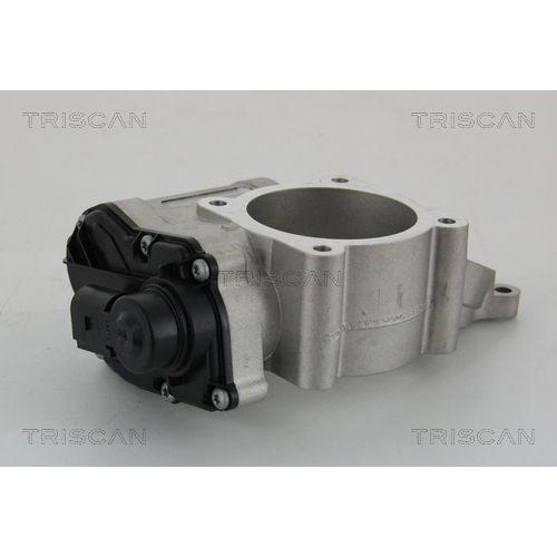 TRISCAN AGR-Ventil 8813 29028