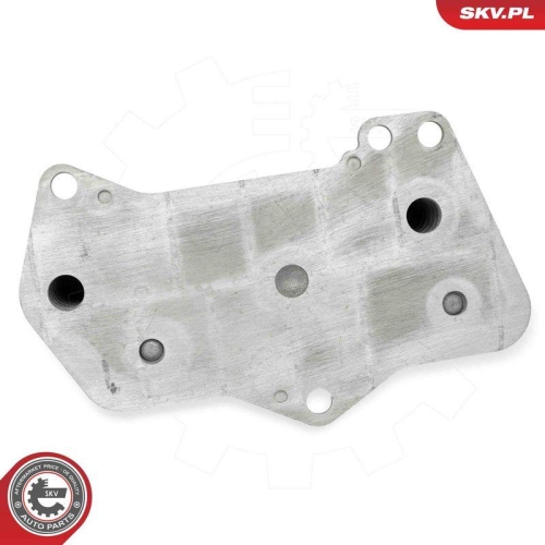 ESEN SKV &Ouml;lk&uuml;hler, Automatikgetriebe 31SKV317