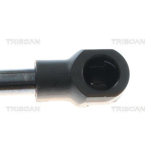TRISCAN Gasfeder, Koffer-/Laderaum 8710 43306