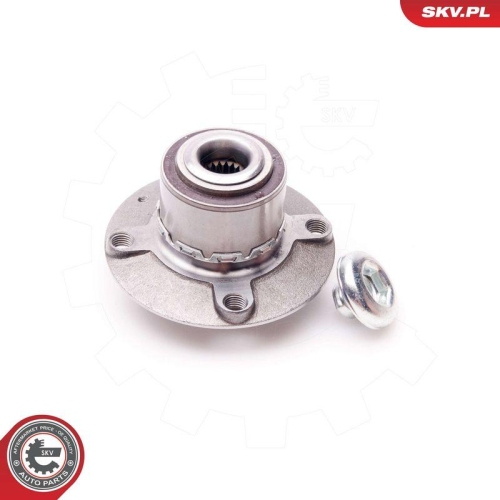 ESEN SKV Radlagersatz 29SKV116