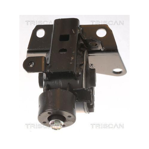 TRISCAN Lagerung, Motor 8505 13105