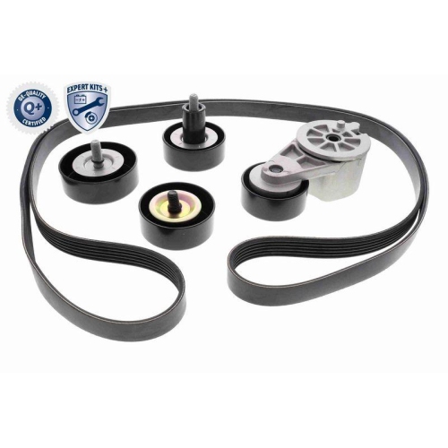 ACKOJA Keilrippenriemensatz EXPERT KITS + A52-0211