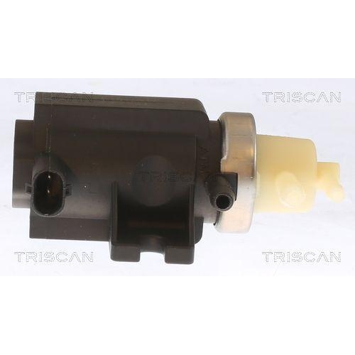 TRISCAN Druckwandler, Abgassteuerung