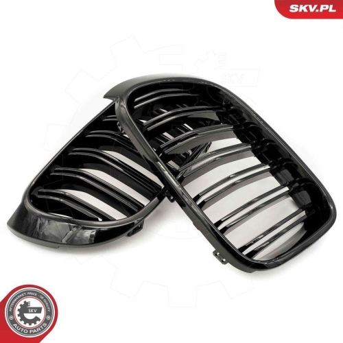 ESEN SKV Kühlergitter