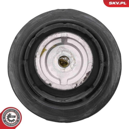 ESEN SKV Lagerung, Motor