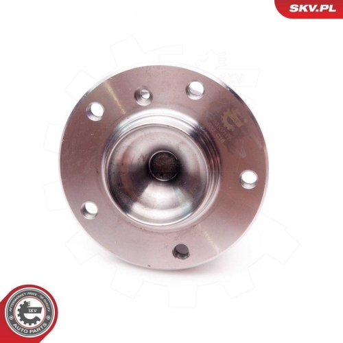 ESEN SKV Radlagersatz 29SKV117