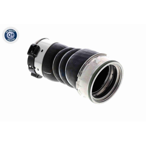 VAICO Ladeluftschlauch Q+, Erstausrüsterqualität V20-3656