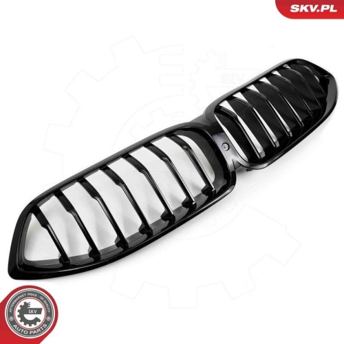 ESEN SKV Kühlergitter