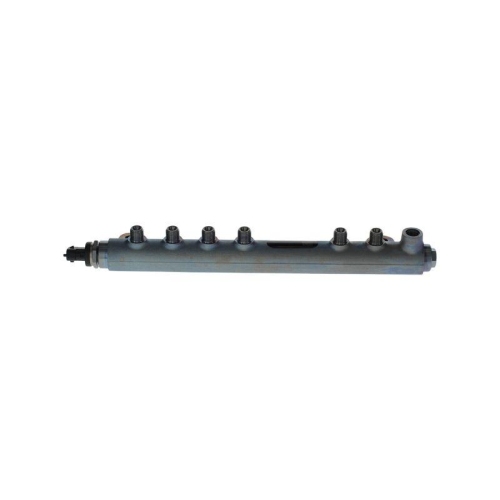 BOSCH Verteilerrohr, Kraftstoff 0 445 224 071