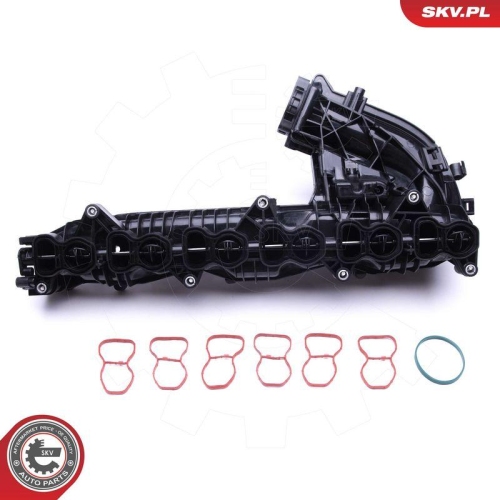 ESEN SKV Saugrohrmodul 49SKV019