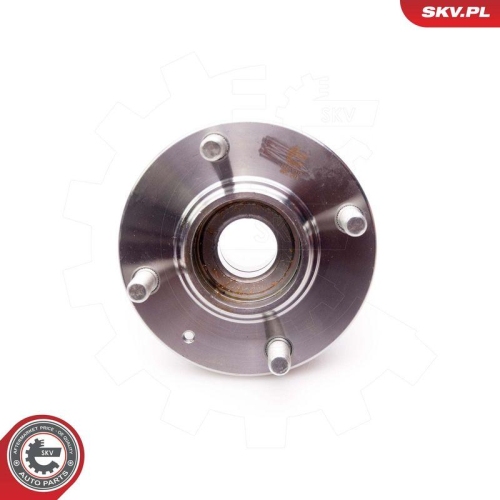 ESEN SKV Radlagersatz 29SKV119