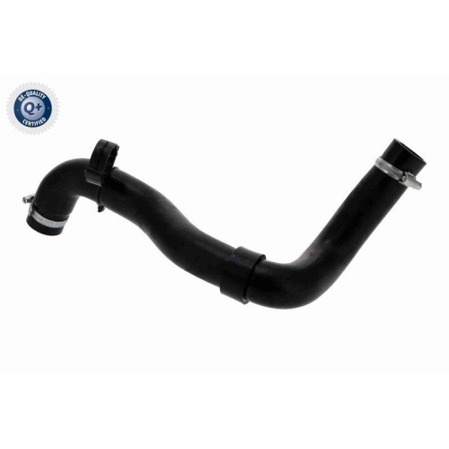 VAICO K&uuml;hlerschlauch Q+, Erstausr&uuml;sterqualit&auml;t V21-0044